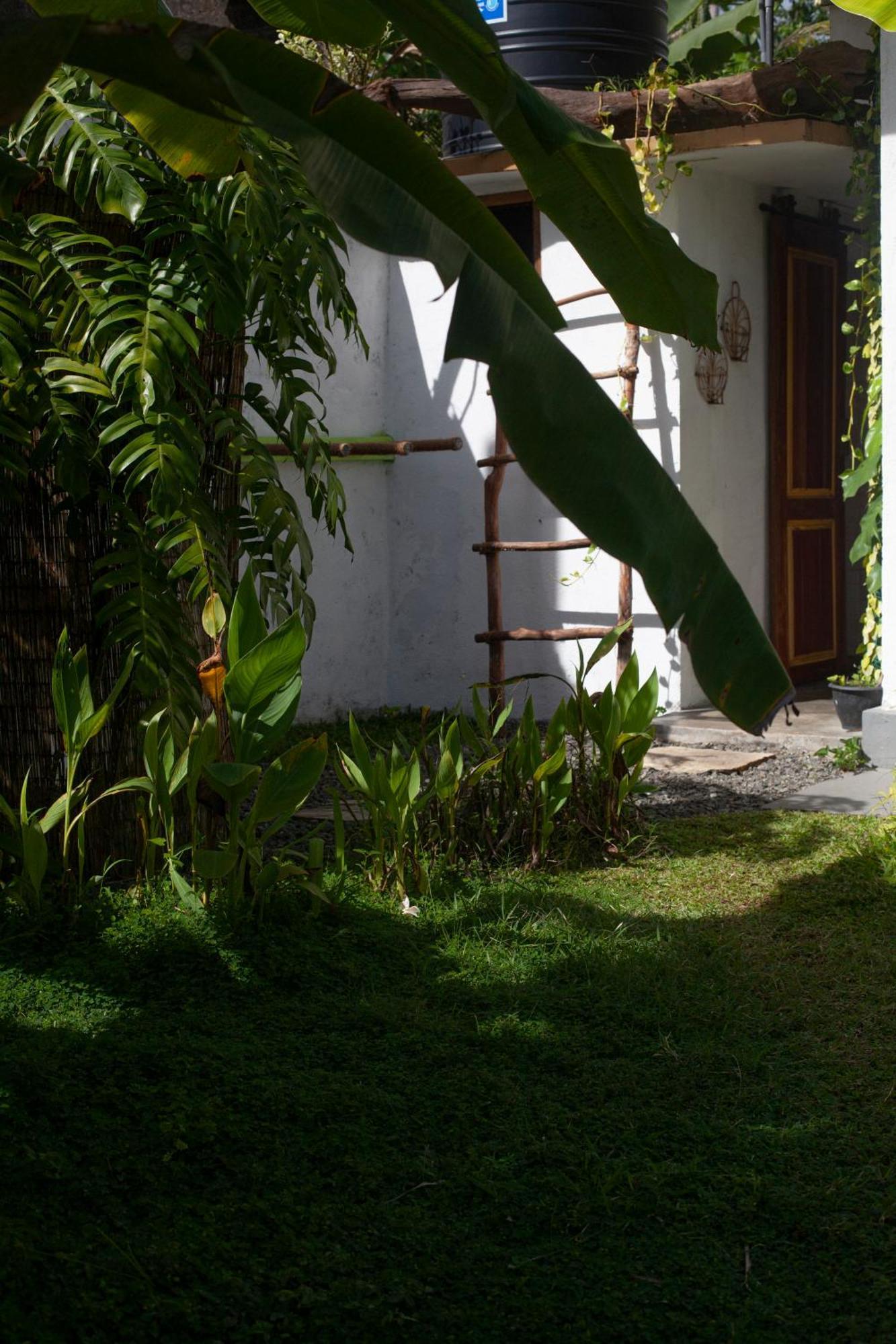 Marshmallow Homestay Аханґама Екстер'єр фото